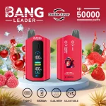BANG-LEADER-50000-50K-PUFF-Dual-Flavor-1
