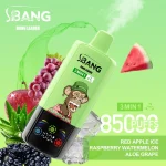 Bang-Leader-85k-3-in-1-Vape_Red-apple-ice-raspberry-watermelon-aloe-grape