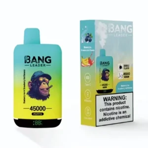 bang-leader-45000-dual-flavors_Blueberry-Ice-and-Strawberry-And-Banana_-Eurvaper