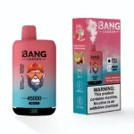 bang-leader-45000-dual-flavors_Strawberry-Watermelon-Ice-and-Kiwi-Passion-Fruit-Guava_-Eurvaper