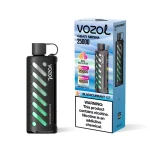 vozol-gear-shisha-25000_Blackcurrant-Ice_Onvaper