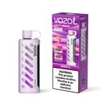 vozol-gear-shisha-25000_Grape-Ice_Onvaper