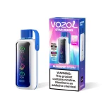 vozol-star-20000_BLUEBERRY-STORM_Onvaper