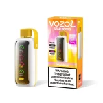 vozol-star-20000_MANGO-ICE_Onvaper