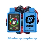 zooy-power-28000-Blueberry-Raspberry